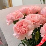Маленькое фото 4: Букет из 9 розовых гвоздик в пленке