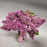 Фото флориста 1: Акция! Большой букет из сирени Эль (L)