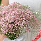 Маленькое фото 3: Букет из 9 розовых гипсофил с белой лентой