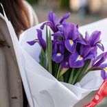 Маленькое фото 2: Букет и 7 фиолетовых ирисов в белой матовой пленке