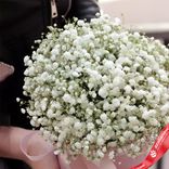 Маленькое фото 2: Букет из 5 белых гипсофил в розовой коробке