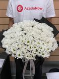 Фото флориста 3: Букет из 25 белых ромашковых хризантем в серой пленке
