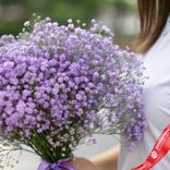 Маленькое фото 3: Букет из 5 фиолетовых гипсофил с фиолетовой лентой