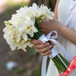Маленькое фото 1: Букет из 15 белых нарциссов с белой лентой