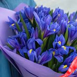 Маленькое фото 2: Букет из 35 синих ирисов в фиолетовой пленке