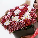 Маленькое фото 2: Букет из 45 кустовых хризантем в черной бумаге