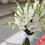 Маленькое фото 1: Букет из 15 белых гладиолусов с белой лентой