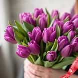 Маленькое фото 2: 25 фиолетовых тюльпанов М24