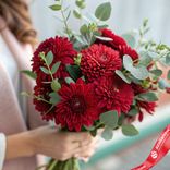 Маленькое фото 1: Композиция из 9 алых хризантем и фисташки «Огненная нежность»