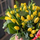 Маленькое фото 2: Букет из 50 желтых тюльпанов с зеленью фисташки