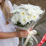 Маленькое фото 1: Букет из 9 белых кустовых хризантем в пленке, Голландия