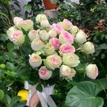 Фото флориста 6: Букет из 9 кустовых розовых роз, Голландия