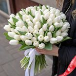 Маленькое фото 1: 101 белый тюльпан с белой лентой, Россия
