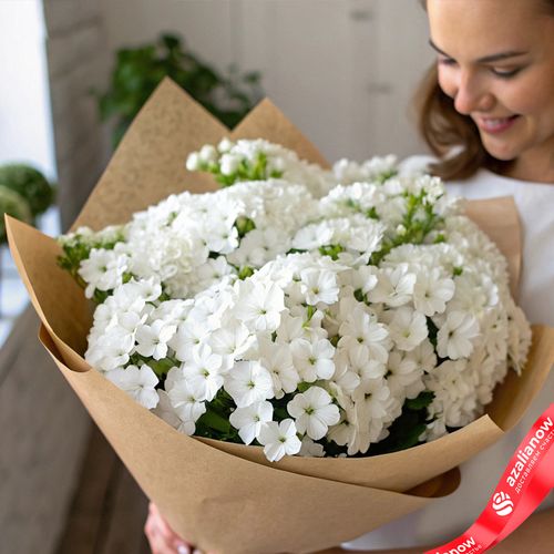 Букет из 35 белых флоксов в крафте