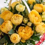 Маленькое фото 3: Букет из 35 желтых пионов с эвкалиптом в корзине, Голландия