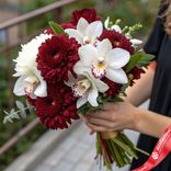 Маленькое фото 1: Композиция из 7 бордовых хризантем и белых орхидей «Мелодия страсти»