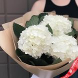 Маленькое фото 2: Букет из 3 белых гортензий в крафте