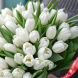 Маленькое фото 3: Букет из 50 белых тюльпанов, Россия