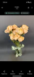 Фото флориста 1: Роза кустовая микс, Голландия