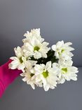 Фото флориста 5: 1 белая кустовая хризантема Ромашка
