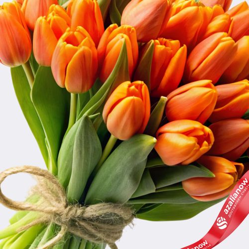 Фото 3: 31 оранжевый тюльпан, Россия