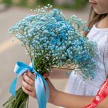 Маленькое фото 1: Букет из 7 голубых гипсофил с голубой лентой