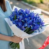 Маленькое фото 1: Букет из 25 синих ирисов в белой бумаге