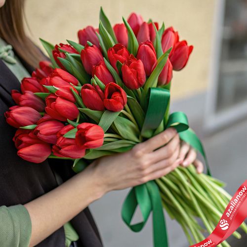 25 красных тюльпанов М24