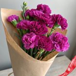 Маленькое фото 1: Букет из 10 гвоздик фиолетовых в крафте, Диантус, Голландия