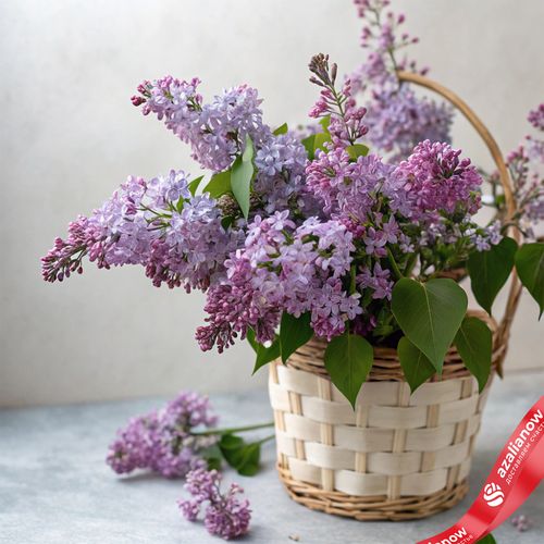 Корзина с сиренью S