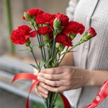 Маленькое фото 1: Букет из 3 кустовых красных гвоздик с лентой сорта Диантус, Голландия