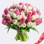 Маленькое фото 1: Букет из 60 пионовидных бело-розовых тюльпанов, Голландия