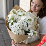 Маленькое фото 1: Букет из 25 белых флоксов в крафте