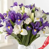 Маленькое фото 3: Букет из 51 фиолетового и 50 белых ирисов