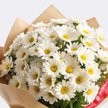 Маленькое фото 2: Букет из 9 кустовых белых хризантем Сантини в крафте с лентой, Голландия