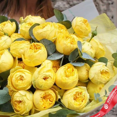Фото 3: Букет из 21 кустовых пионовидных желтых роз в пленке