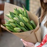 Маленькое фото 1: Букет из 15 зеленых тюльпанов в крафте, Россия