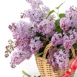 Маленькое фото 2: Корзина с сиренью M