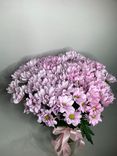 Фото флориста 6: 1 xризантема кустовая розовая, Ромашка, Голландия