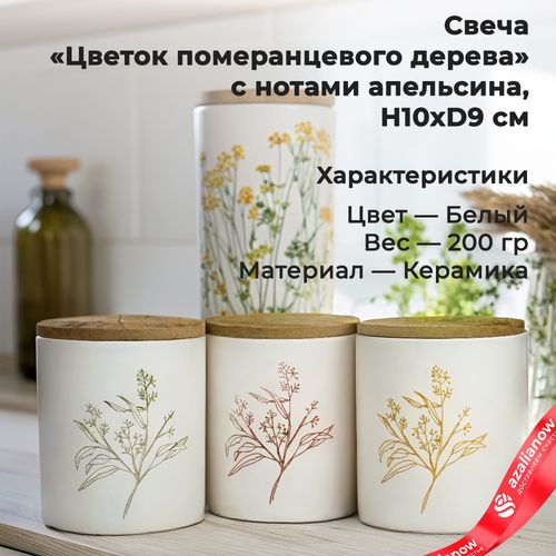 Свеча «Цветок померанцевого дерева с нотами апельсина» (керамика), H10xD9см, белый, 200 гр.