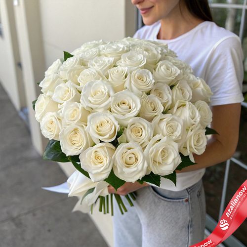 31 белая роза, Эквадор, В 70см