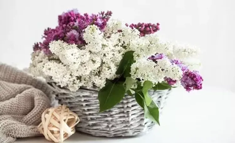 Цветочные корзины купить