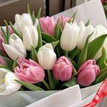 Маленькое фото 3: Букет из 8 розовых и 9 белых тюльпанов в белой упаковке