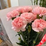 Маленькое фото 2: Букет из 9 розовых гвоздик в пленке