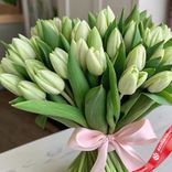 Маленькое фото 2: Букет из 51 салатового тюльпана с лентой, Россия
