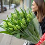 Маленькое фото 1: Букет из 19 зеленых тюльпанов в пленке, Россия