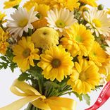 Маленькое фото 3: Букет из 9 кустовых желтых хризантем с лентой, Ромашка, Голландия