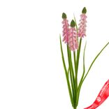 Маленькое фото 2: Мускари на вставке, 30см, светло-розовый