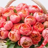 Маленькое фото 2: Корзина 101 кораловый пион