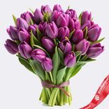 Маленькое фото 1: Букет из 30 фиолетовых тюльпанов, Россия